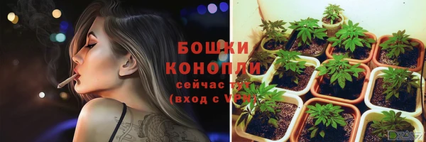 молекула духа Бородино
