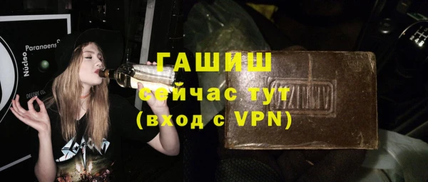 молекула духа Бородино