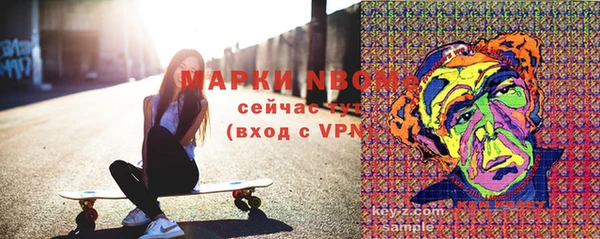 молекула духа Бородино