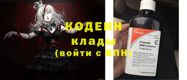 молекула духа Бородино