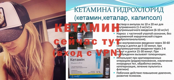 молекула духа Бородино