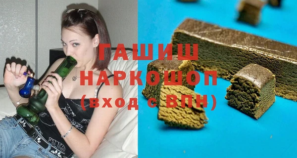 молекула духа Бородино
