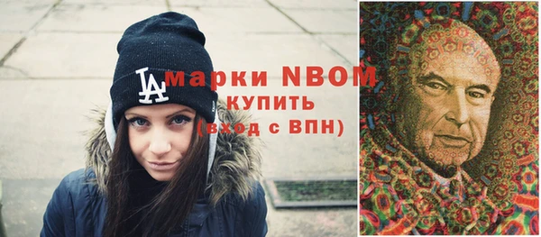 молекула духа Бородино