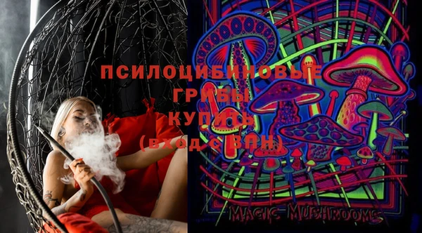 герыч Бронницы