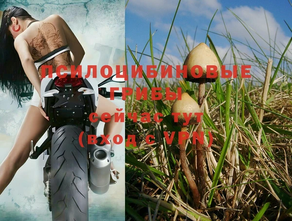 стафф Бугульма