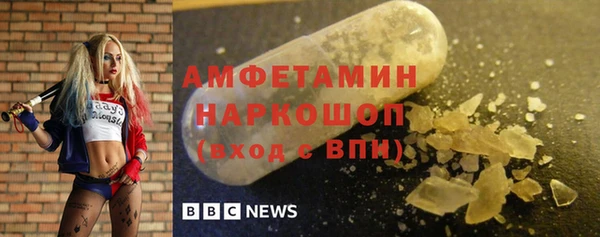 молекула духа Бородино