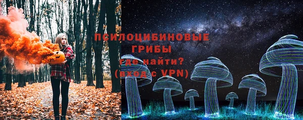 герыч Бронницы