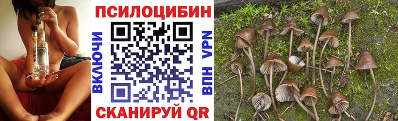 Псилоцибиновые грибы Psilocybe  мега рабочий сайт  Ростов 